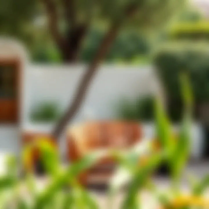 Various designs of acacia patio furniture in a garden