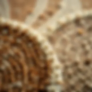Close-Up of Textured Round Rug Materials Close-up view of textured round rug materials