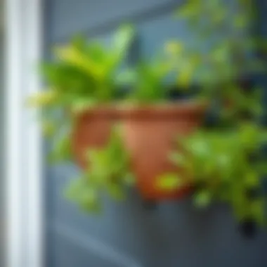 Stylish outdoor plant holder made from eco-friendly materials.