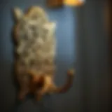 Elegant brass wall hook design showcasing intricate patterns