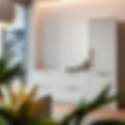 Contemporary drawer cabinet design showcasing sleek lines