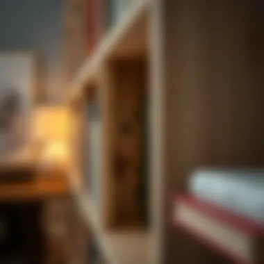 Close-up of materials used in open back bookcase design