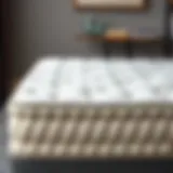 Elegantly designed extra thick futon mattress showcasing its luxurious texture