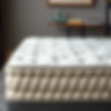 Elegantly designed extra thick futon mattress showcasing its luxurious texture