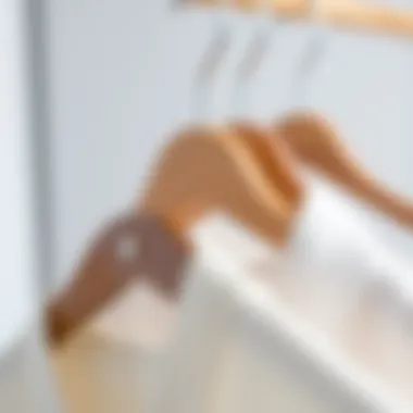 Close-up of materials used in modern accessories hangers