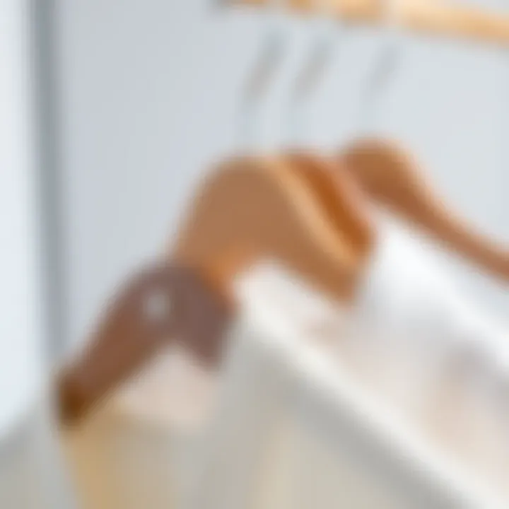 Close-up of materials used in modern accessories hangers