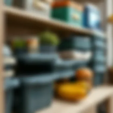 Sustainable materials used in the construction of plastic organizers.